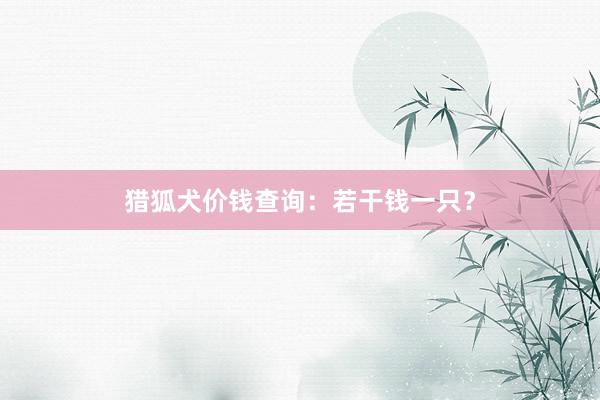 猎狐犬价钱查询:若干钱一只?
